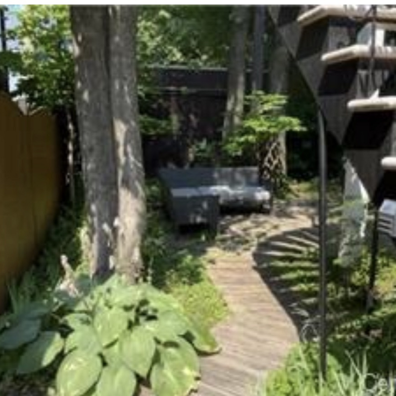 cour avec verdure et patio